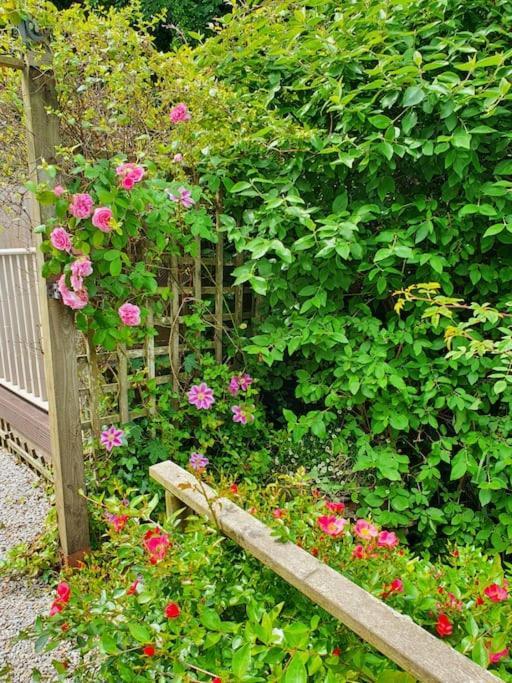 Bijou Coastal Apartment In Polperro With Hot Tub Onsite Parking Downhill Walk To Village Esterno foto